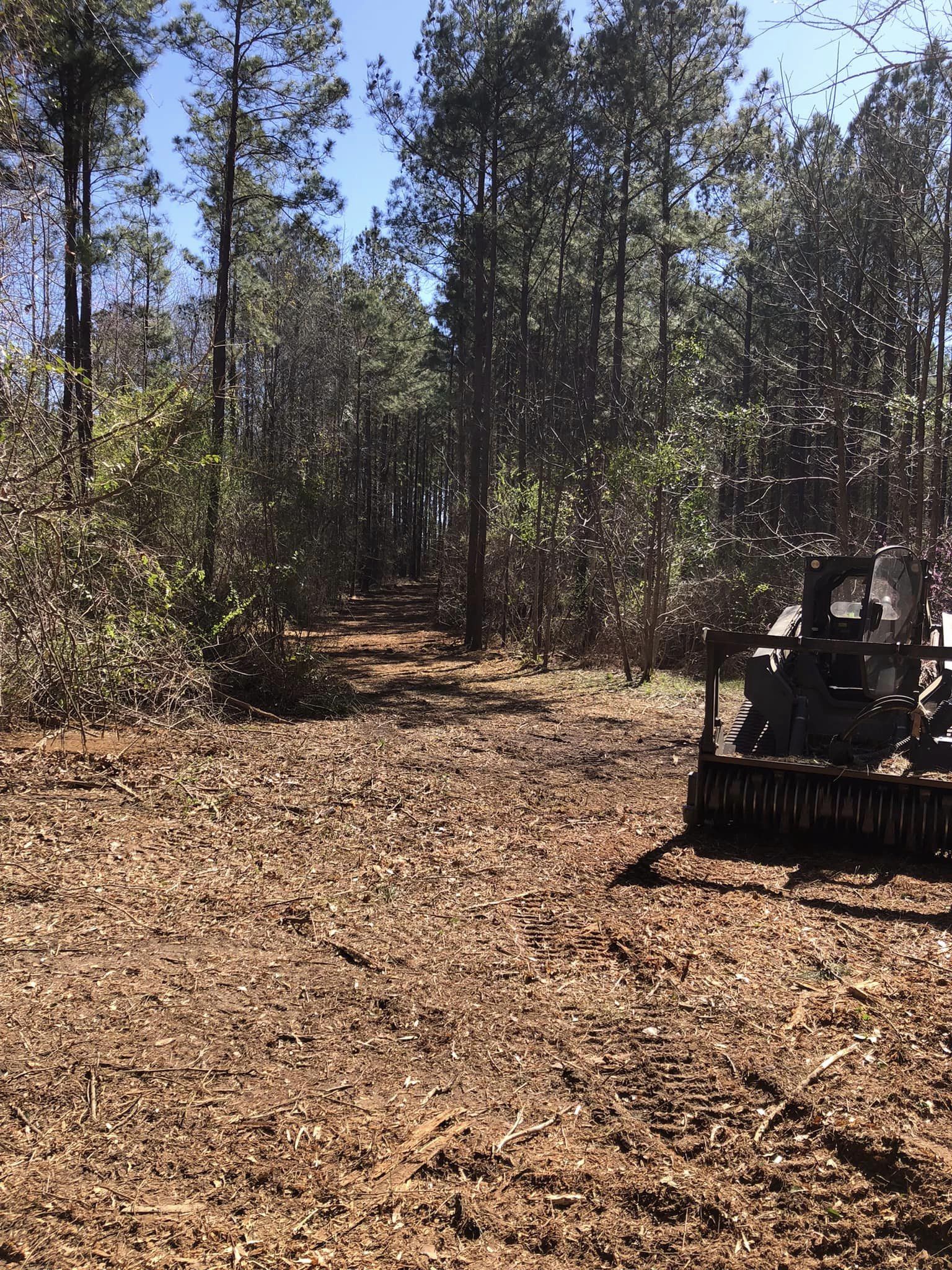 Mulching with a skidster